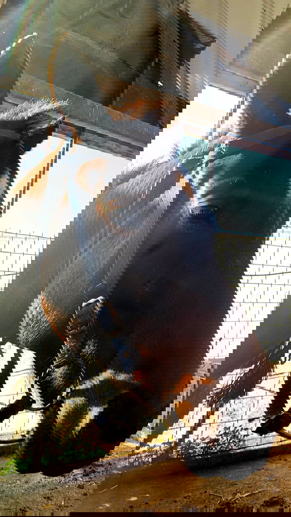 efrat_elmalich image ~ Altpins