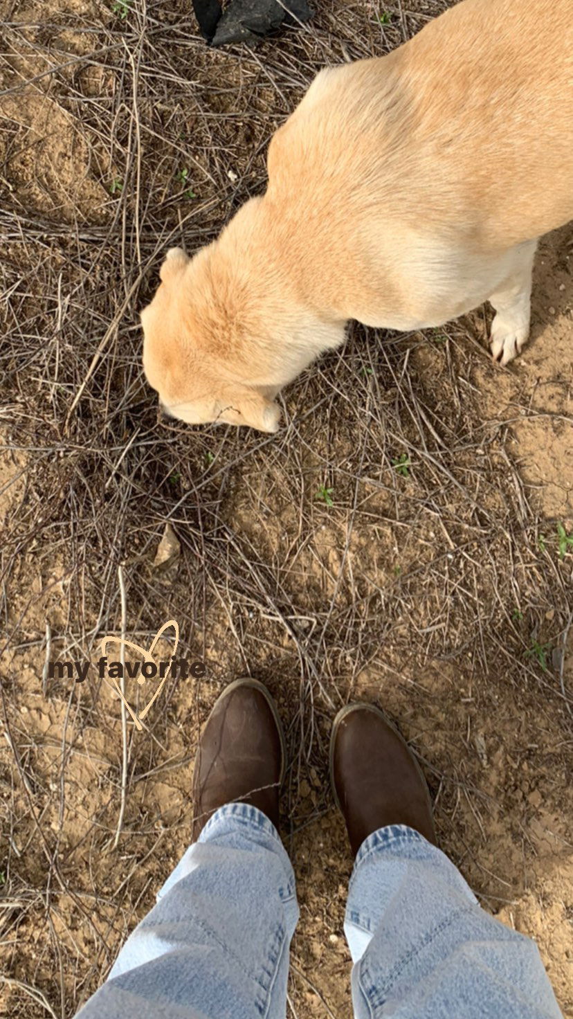 efrat_elmalich instagram image archive image