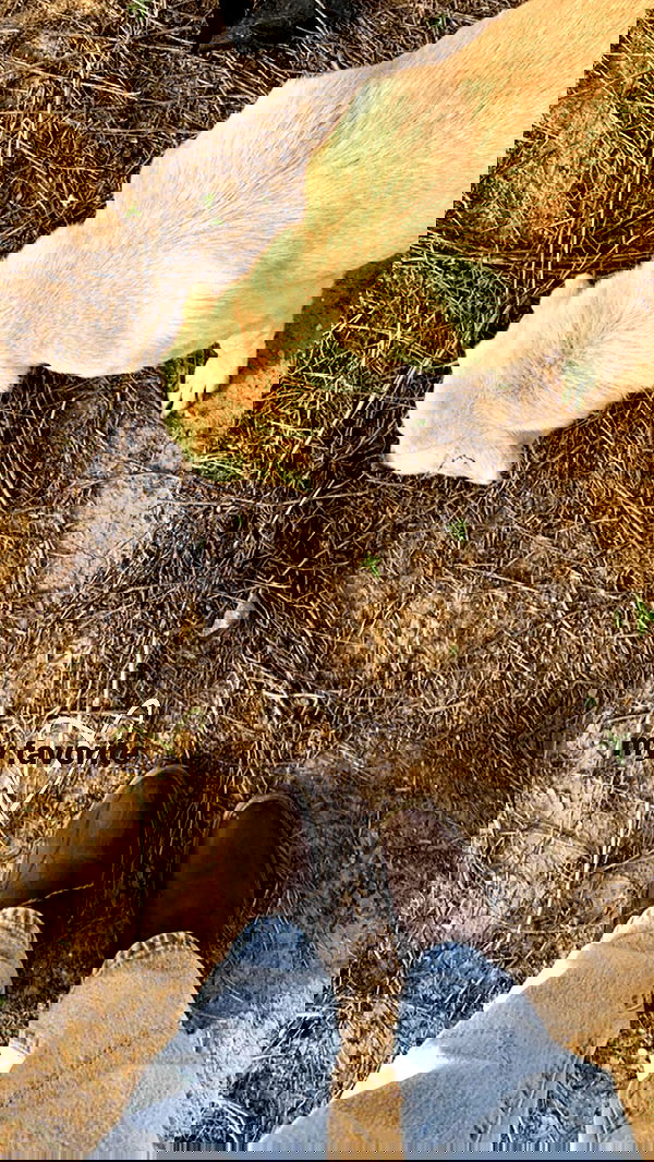 efrat_elmalich image ~ Altpins