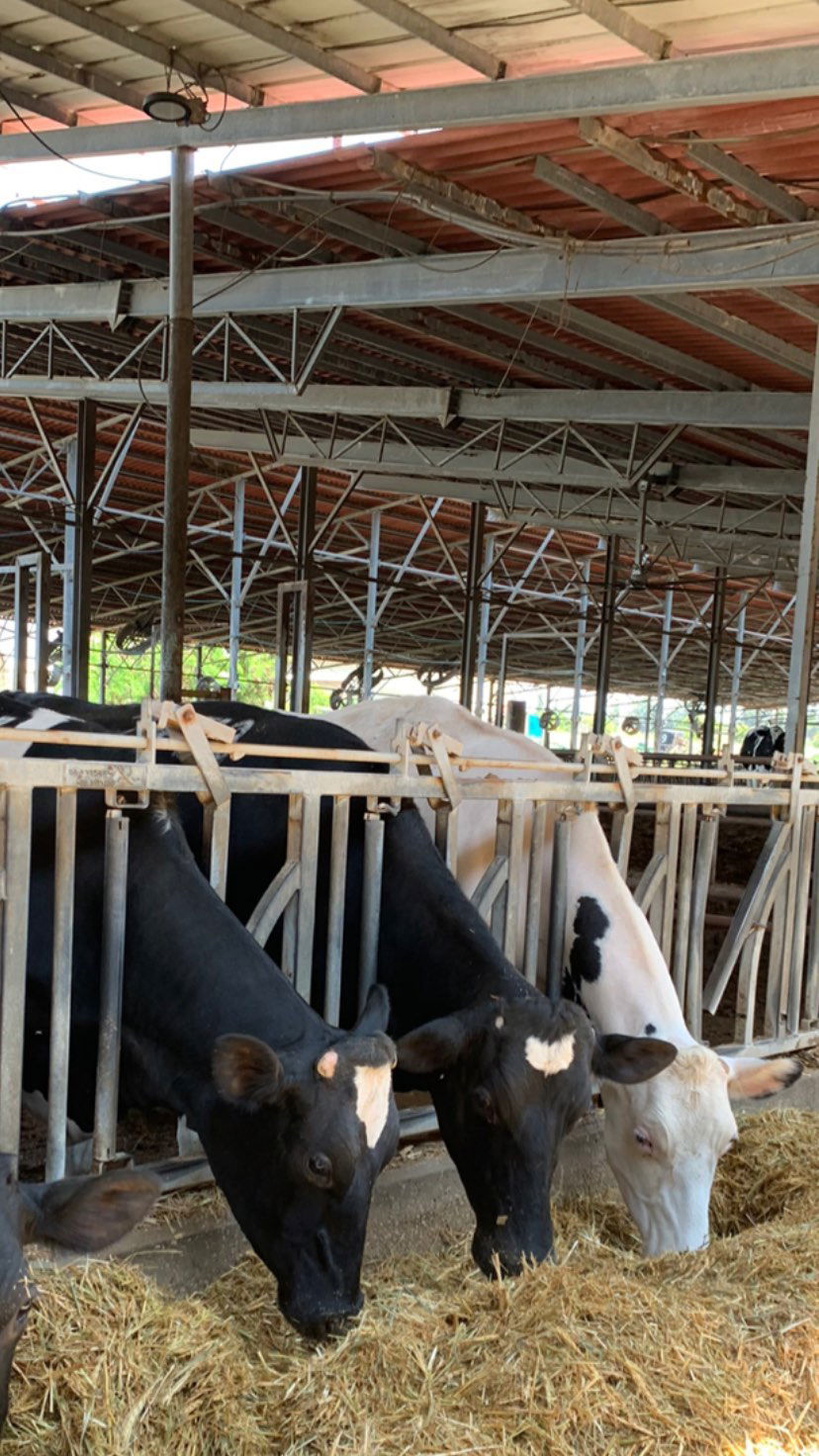 efrat_elmalich instagram image archive image