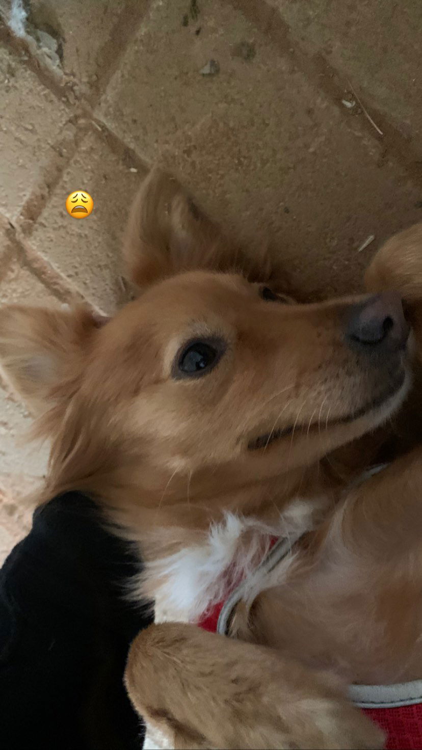 efrat_elmalich instagram image archive image