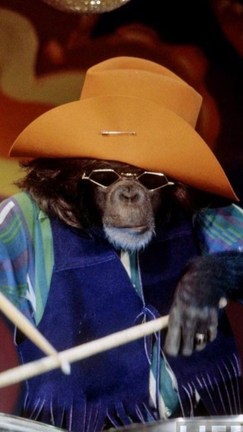 efrat_elmalich instagram image archive image