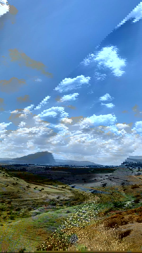 efrat_elmalich image ~ Altpins