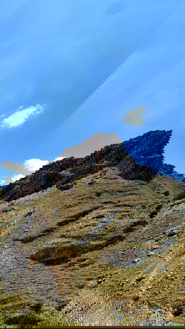 efrat_elmalich image ~ Altpins