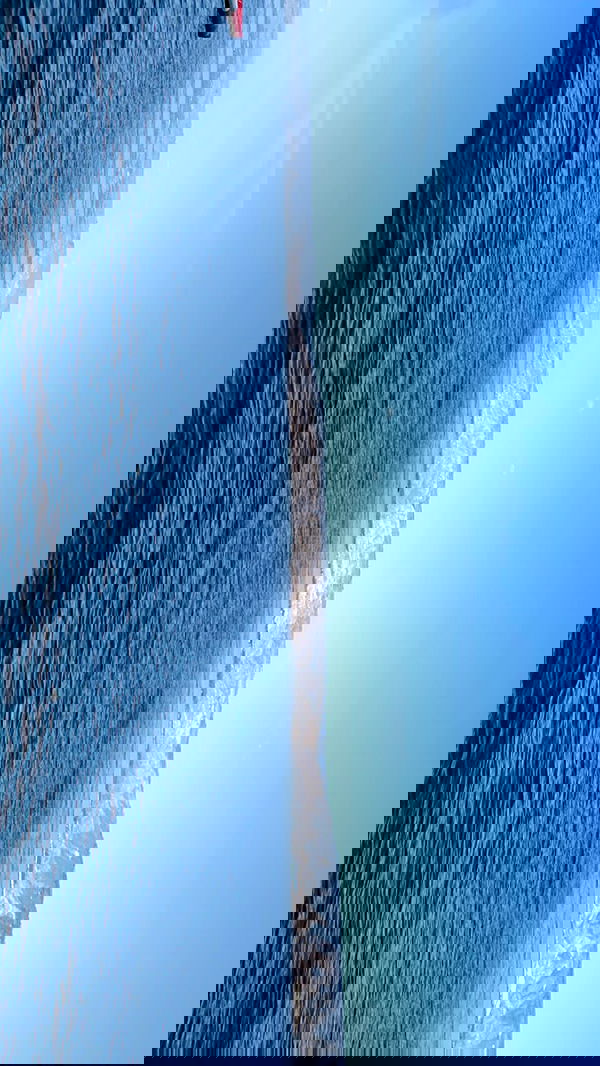 efrat_elmalich image ~ Altpins