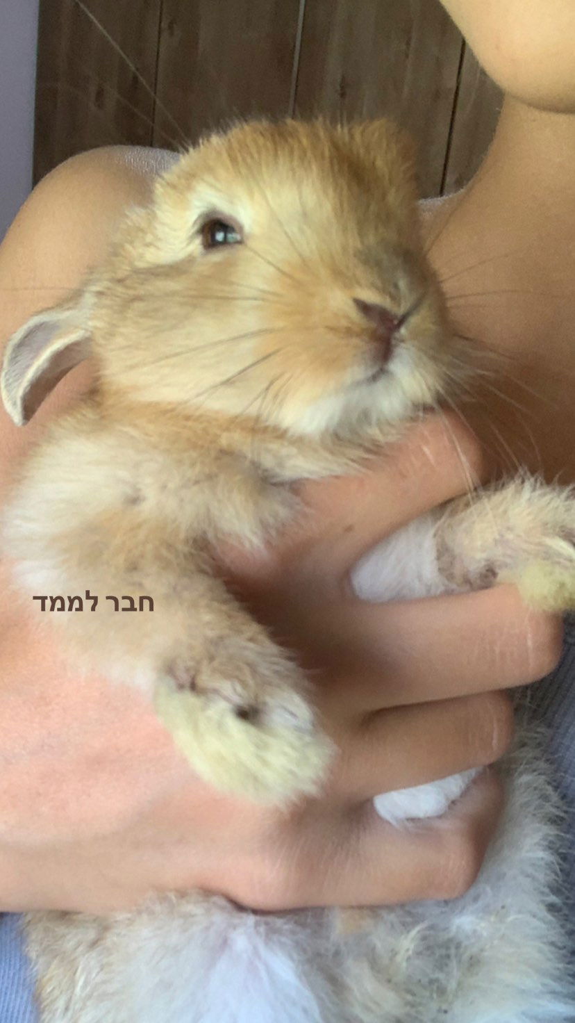 efrat_elmalich instagram image archive image