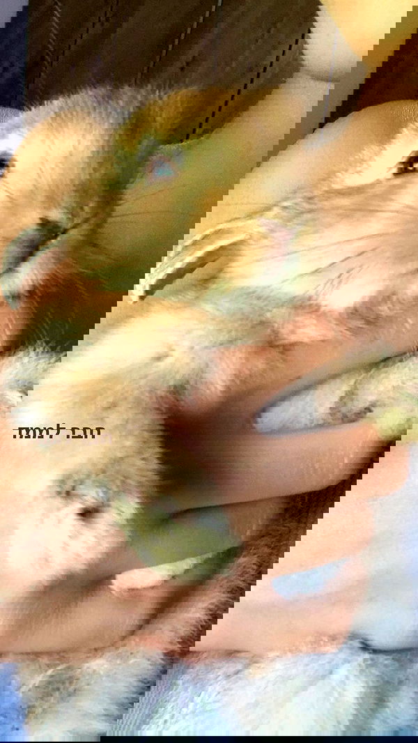 efrat_elmalich image ~ Altpins