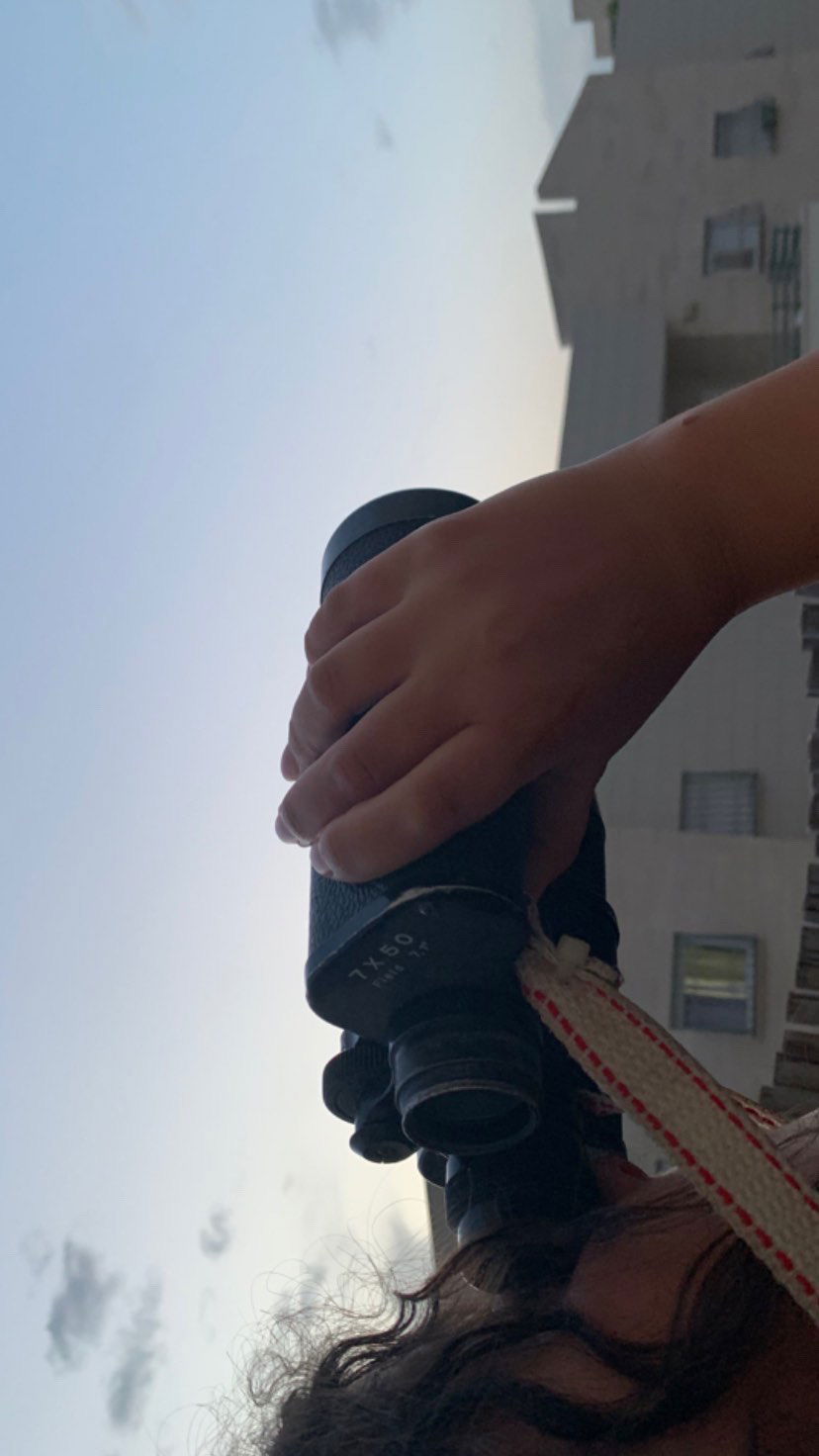 efrat_elmalich instagram image archive image