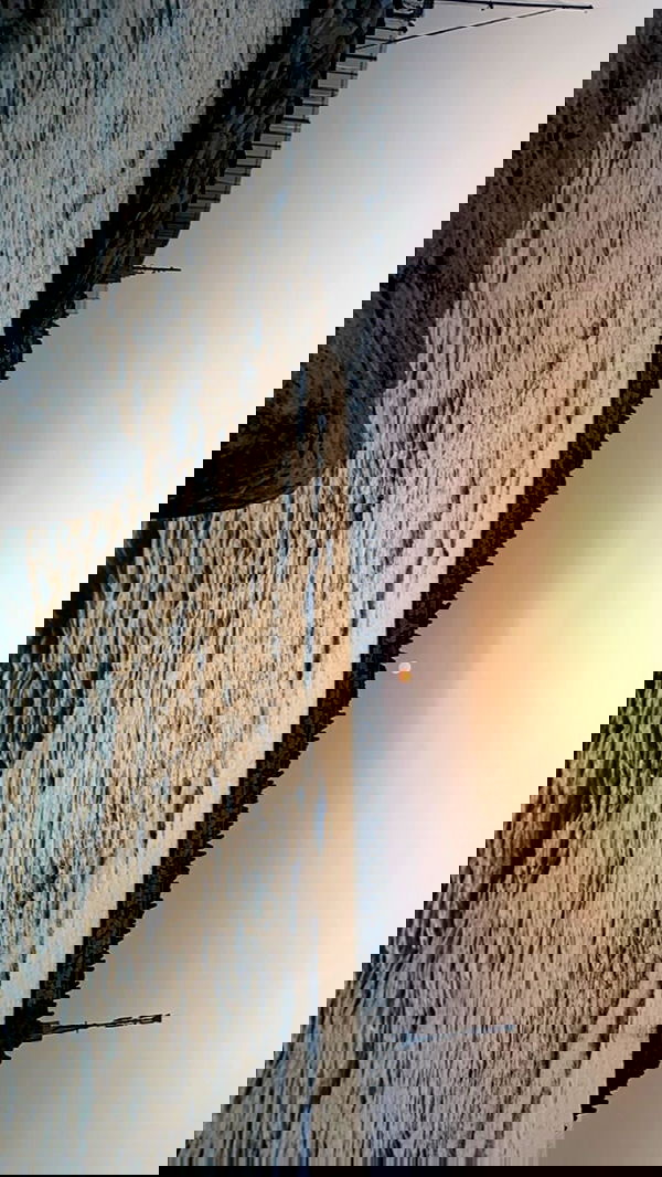 efrat_elmalich image ~ Altpins