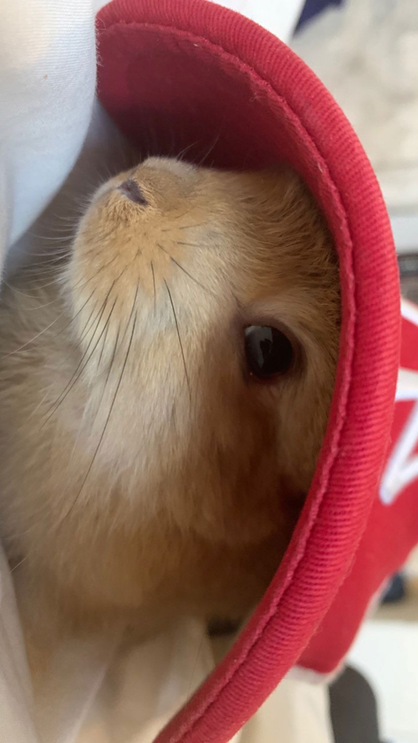 efrat_elmalich instagram image archive image