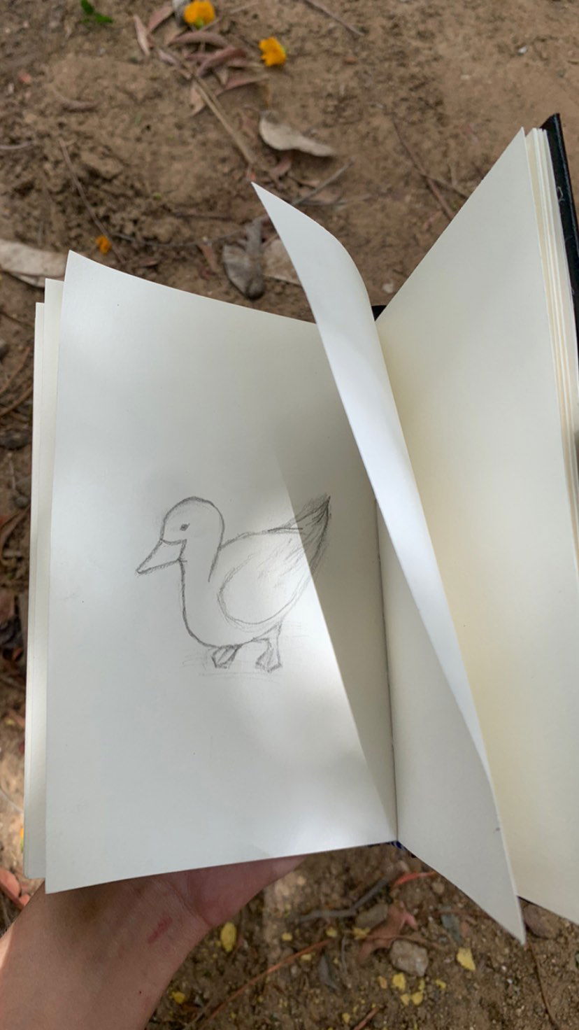 efrat_elmalich instagram image archive image