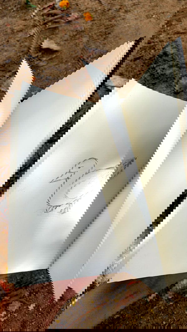 efrat_elmalich image ~ Altpins