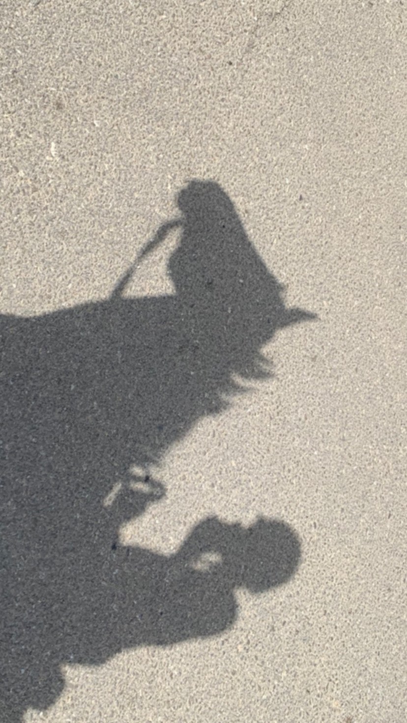 efrat_elmalich instagram image archive image