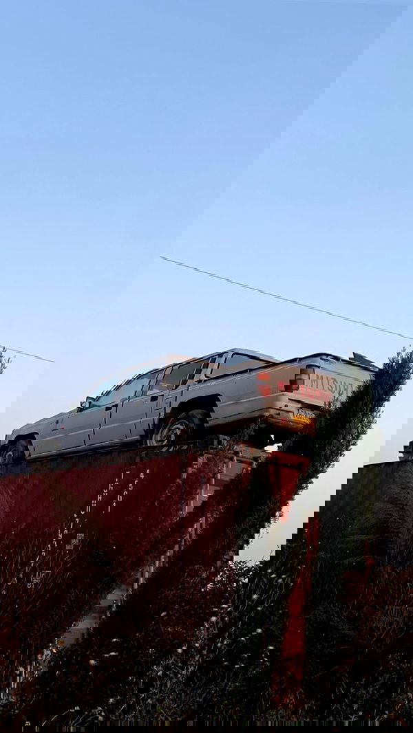 efrat_elmalich image ~ Altpins