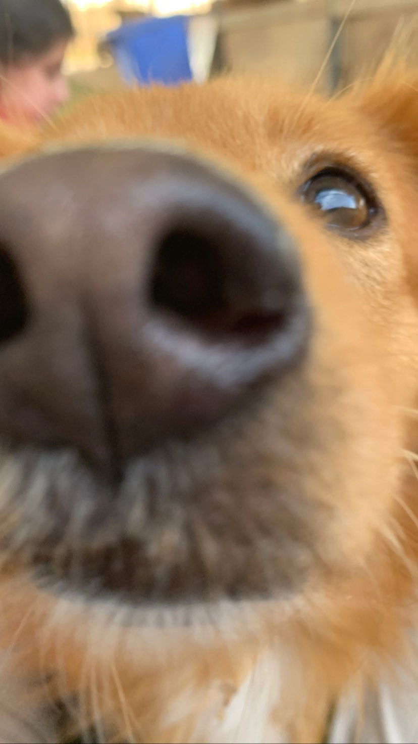 efrat_elmalich instagram image archive image