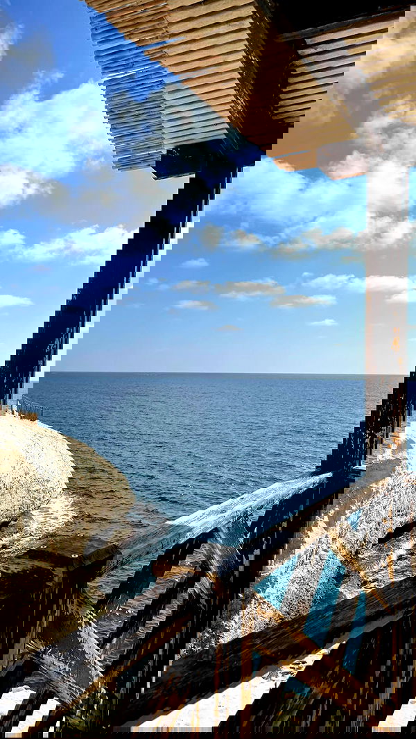 efrat_elmalich image ~ Altpins