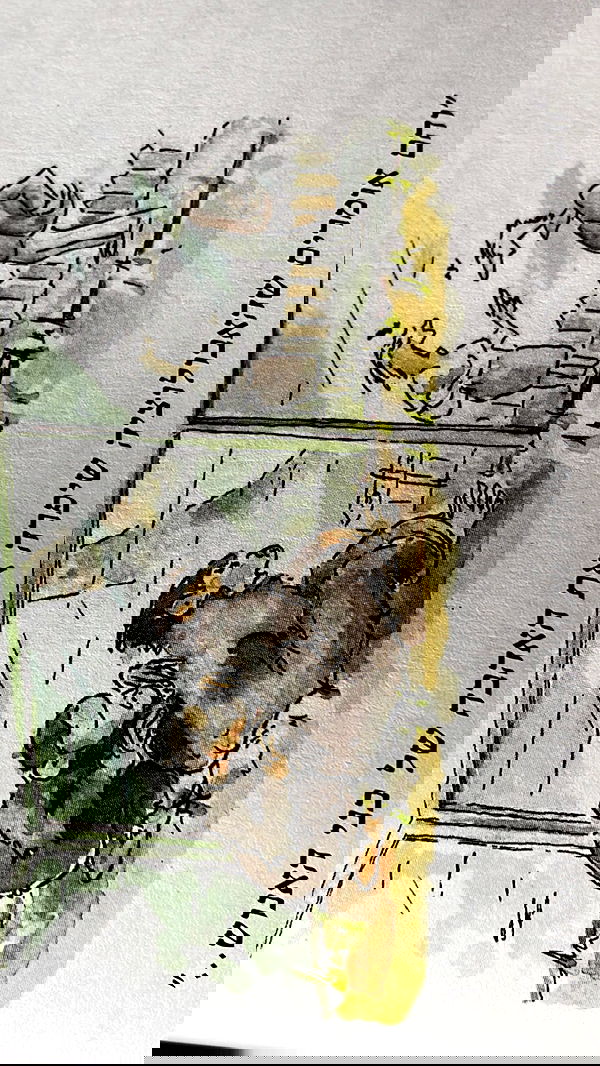 efrat_elmalich image ~ Altpins