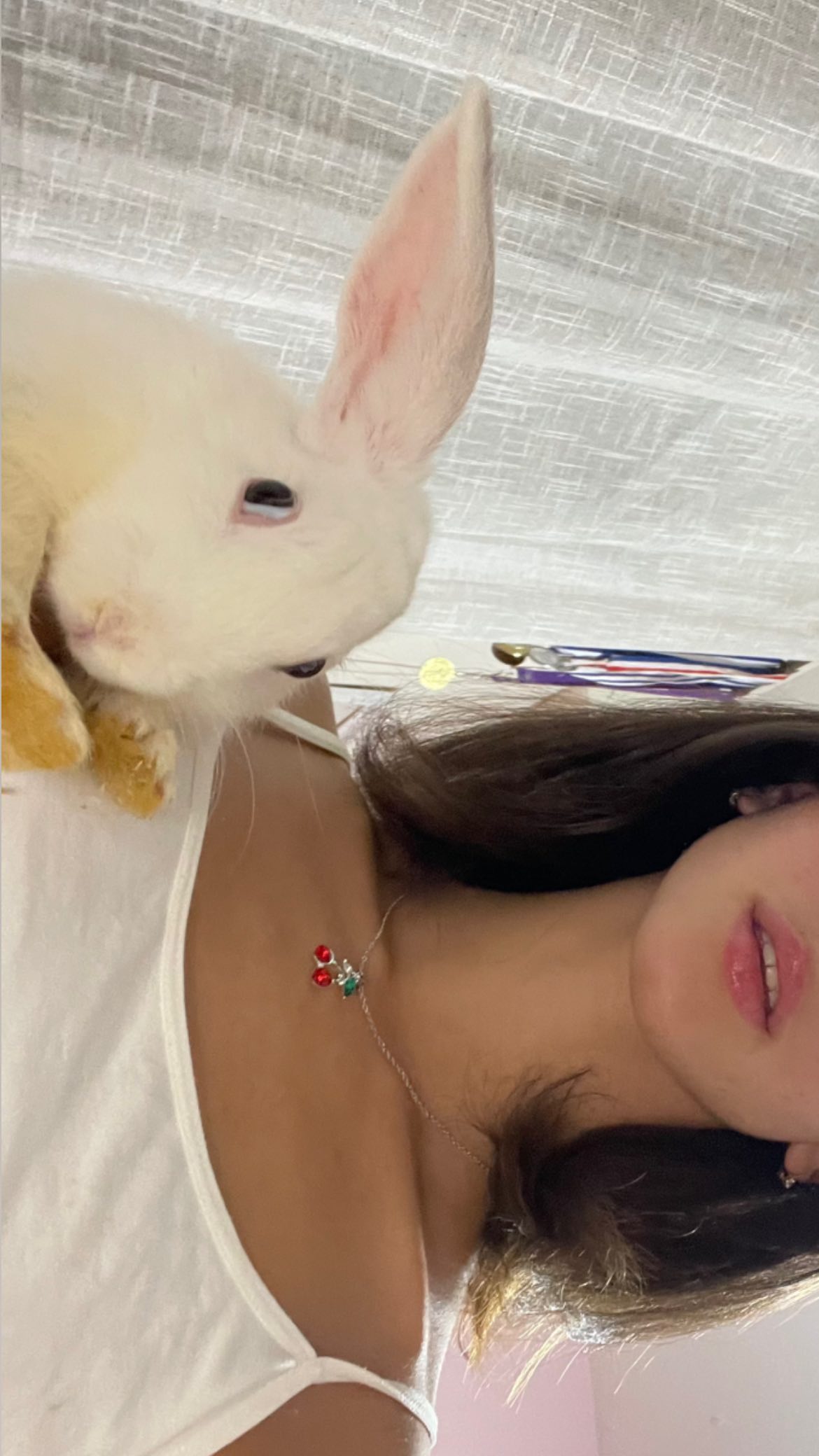 efrat_elmalich instagram image archive image