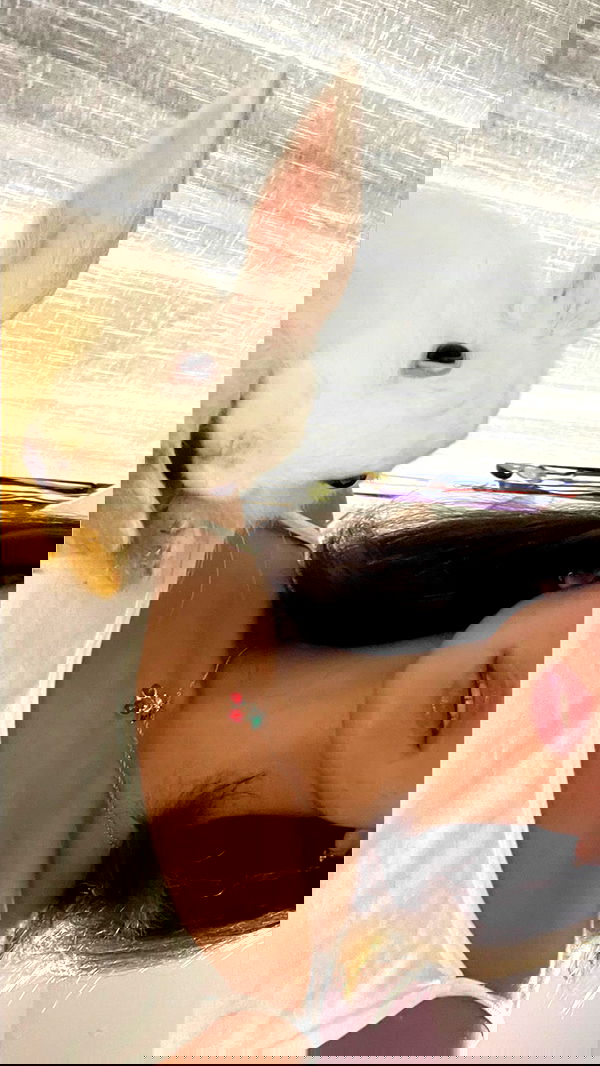 efrat_elmalich image ~ Altpins