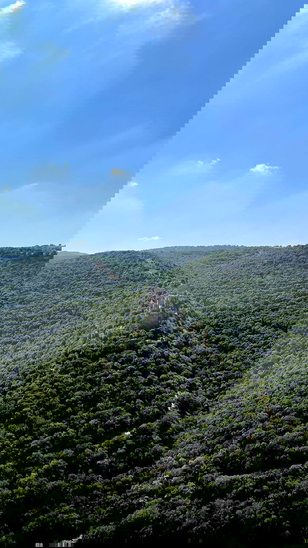 efrat_elmalich image ~ Altpins