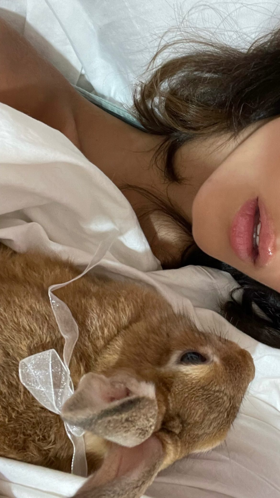 efrat_elmalich instagram image archive image