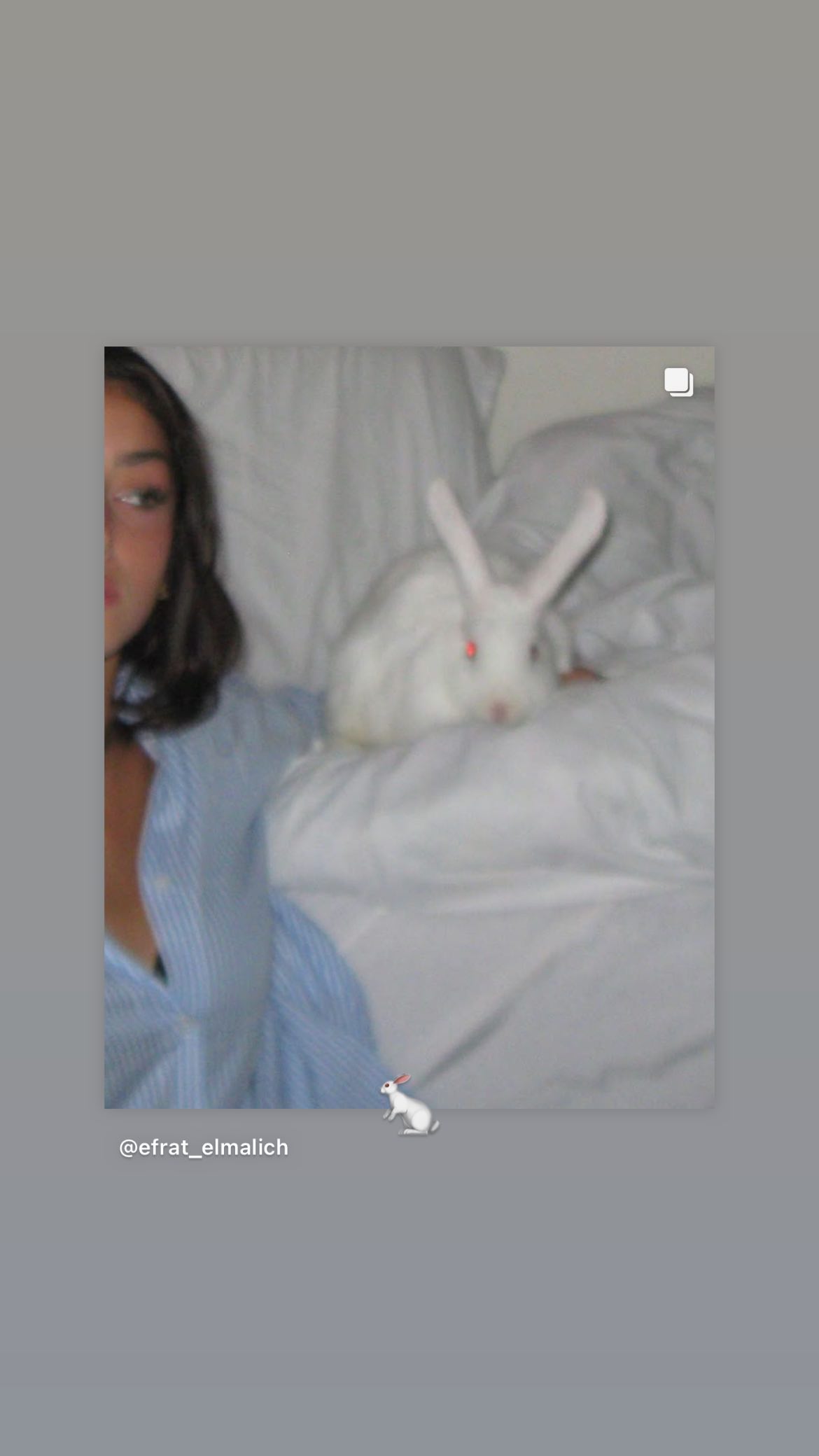 efrat_elmalich instagram image archive image