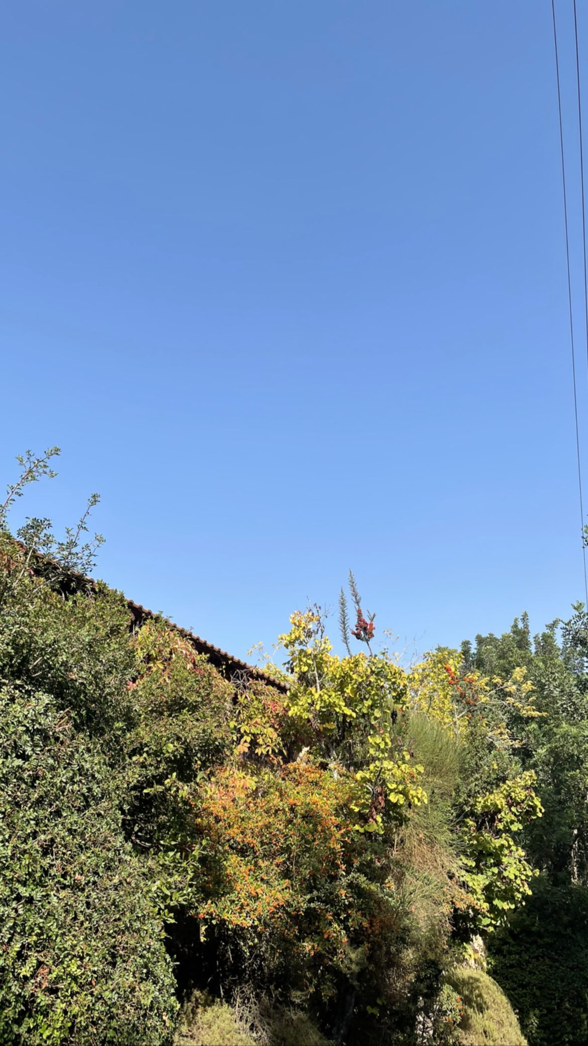 efrat_elmalich instagram image archive image