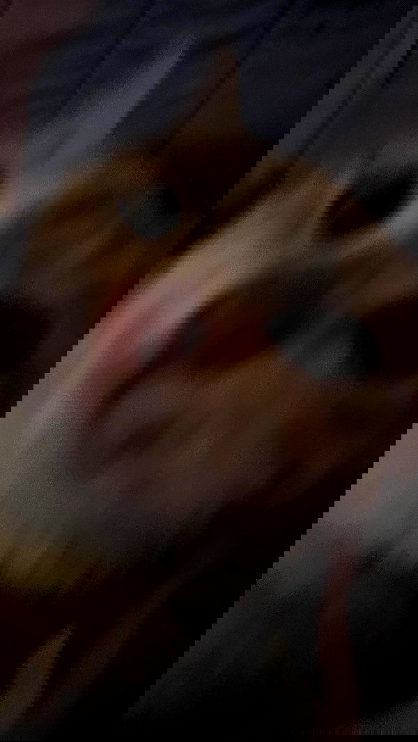 efrat_elmalich image ~ Altpins