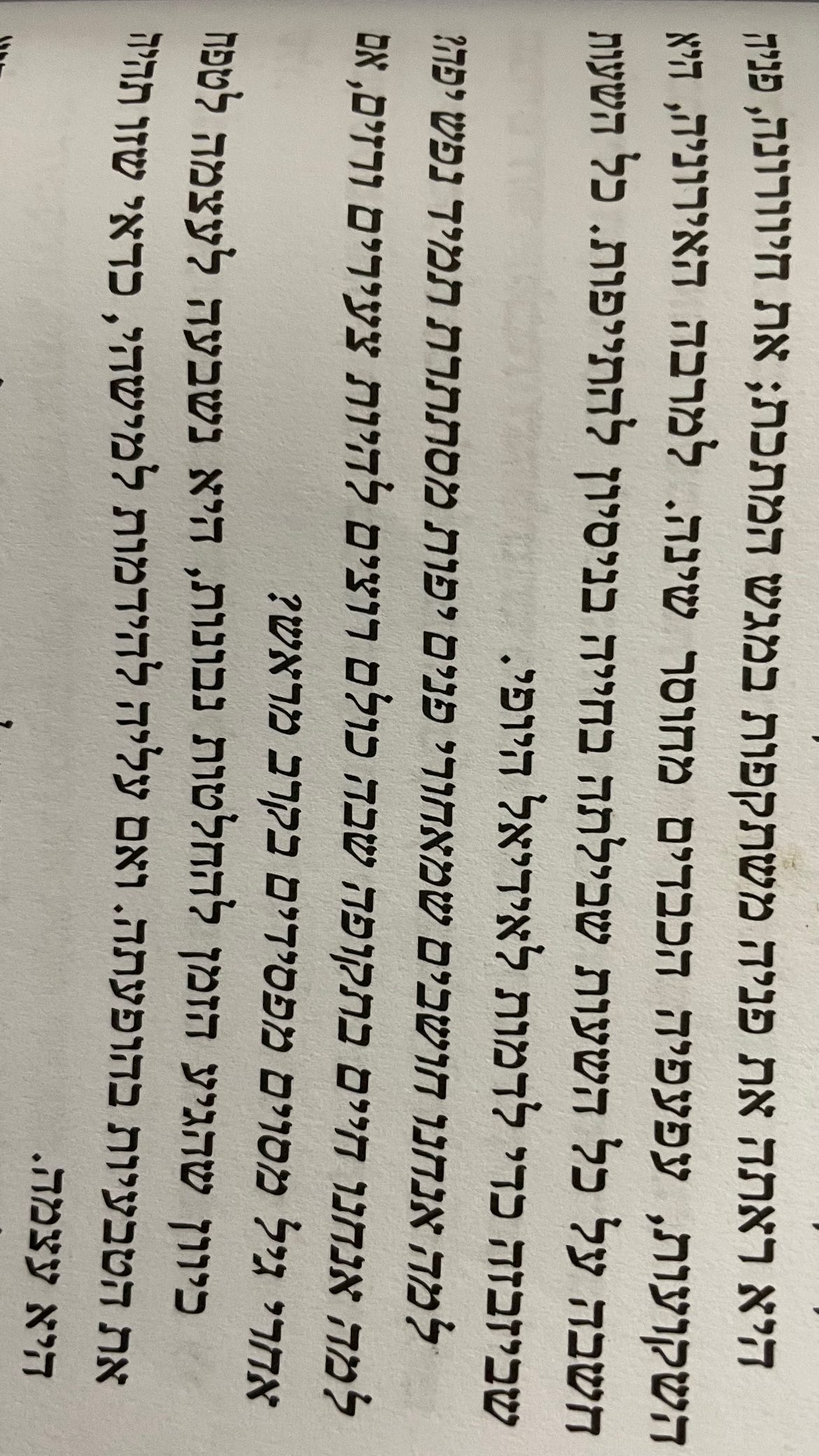 efrat_elmalich instagram image archive image