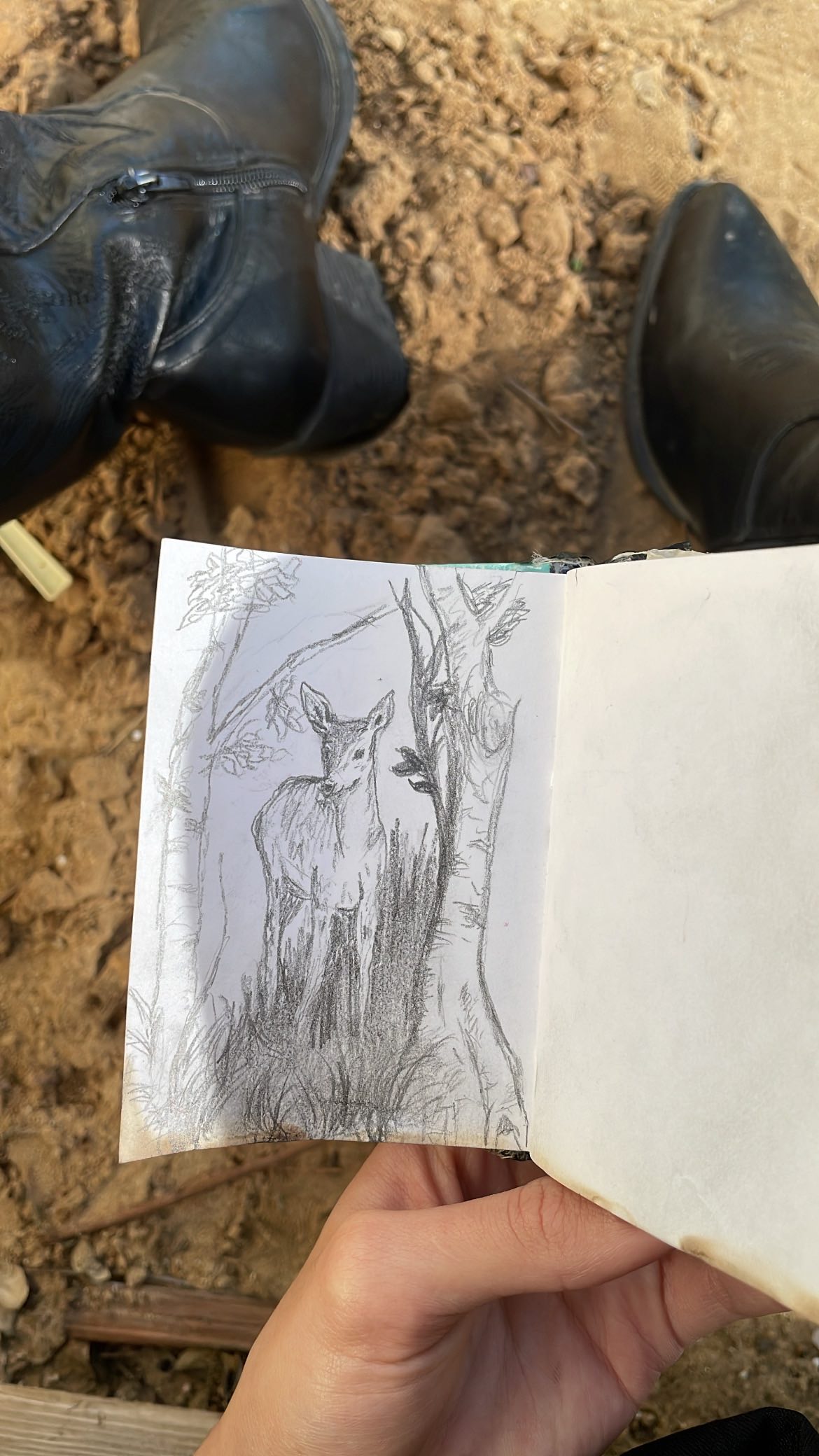 efrat_elmalich instagram image archive image