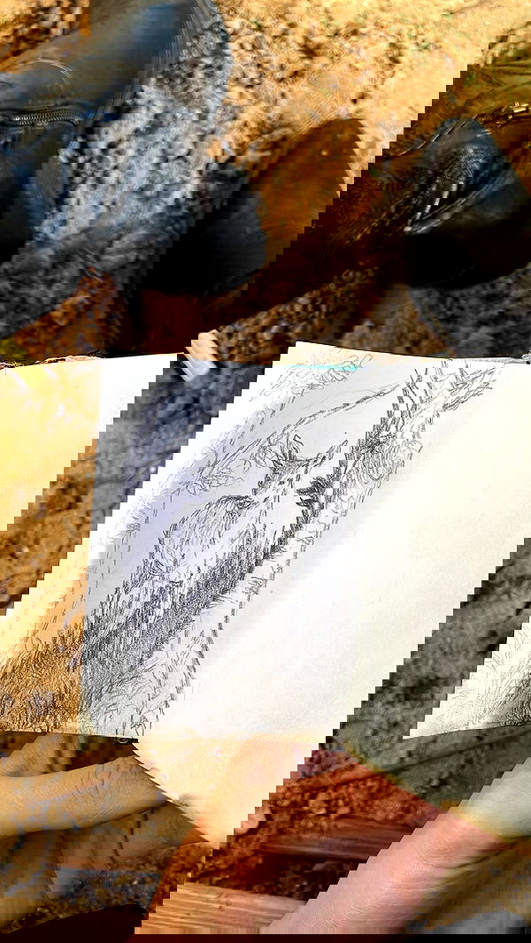 efrat_elmalich image ~ Altpins