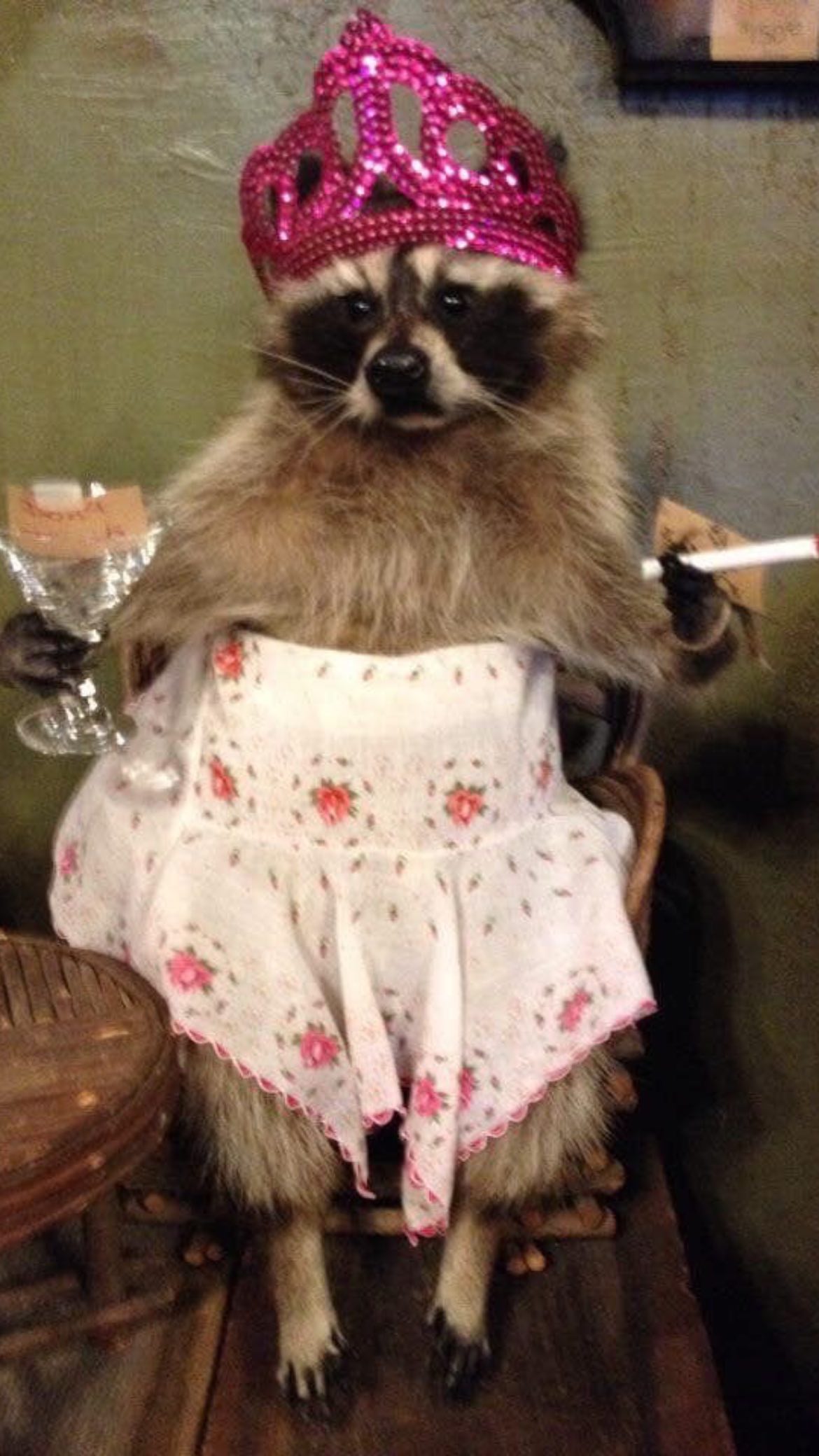 efrat_elmalich instagram image archive image