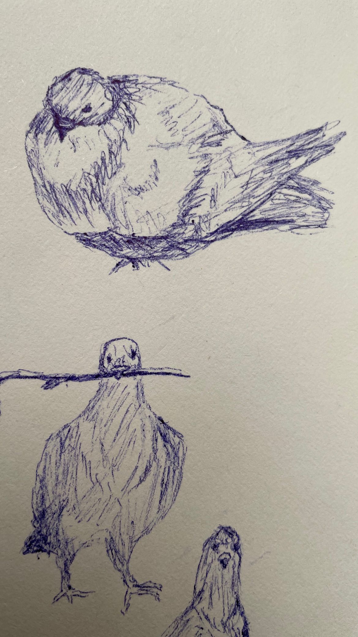 efrat_elmalich instagram image archive image