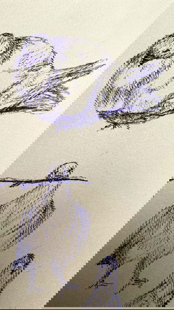 efrat_elmalich image ~ Altpins