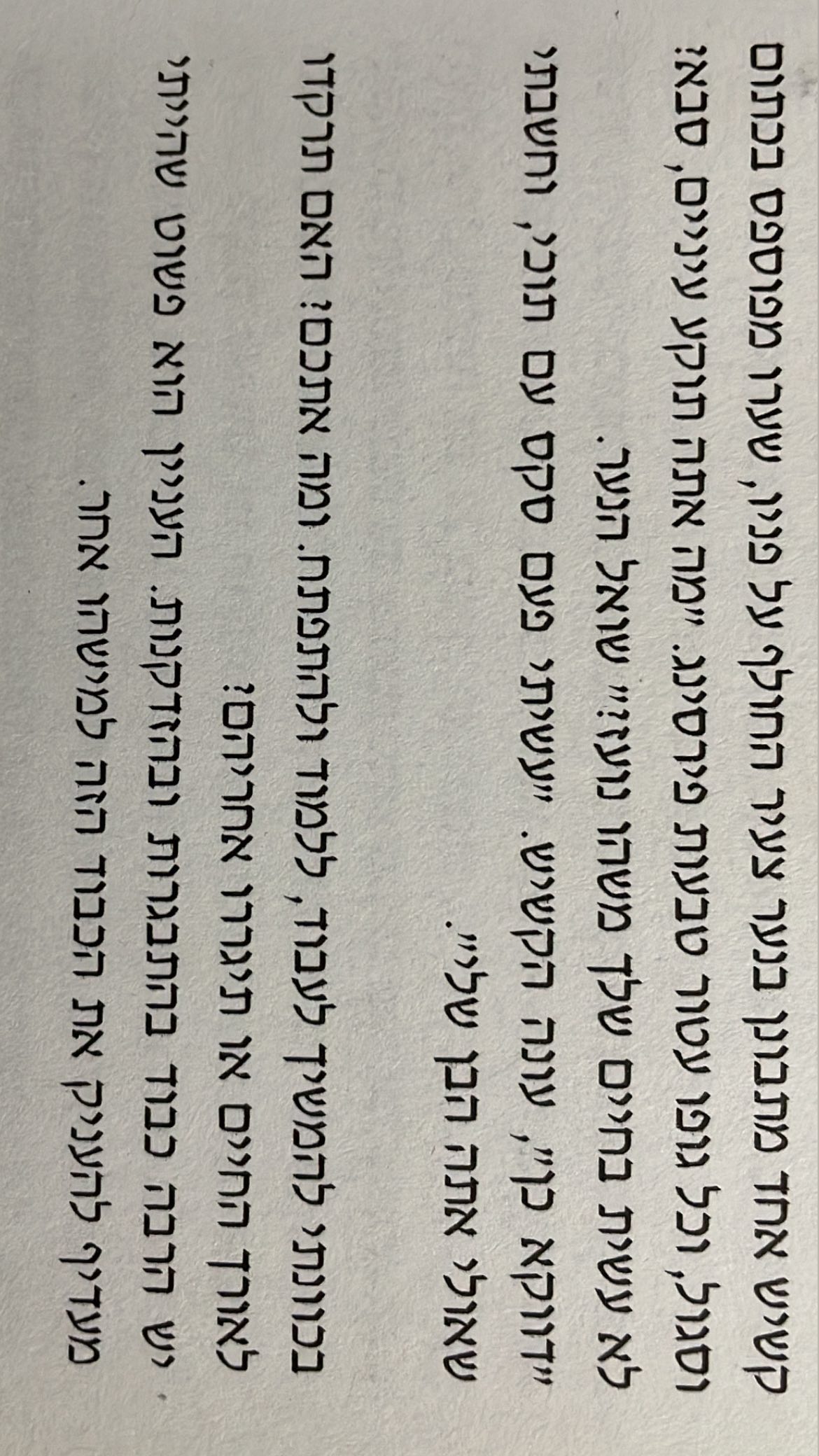 efrat_elmalich instagram image archive image