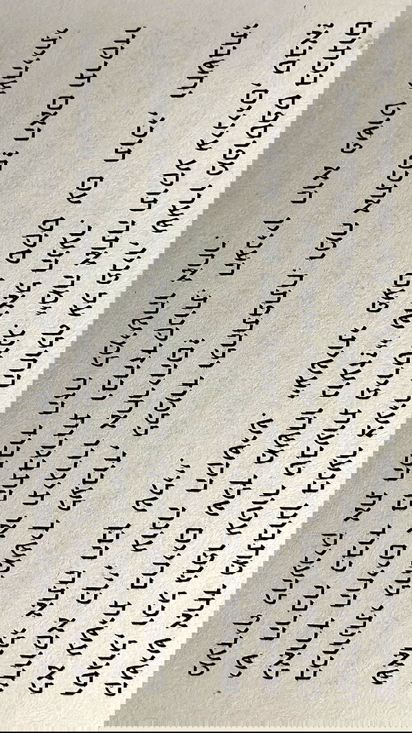 efrat_elmalich image ~ Altpins