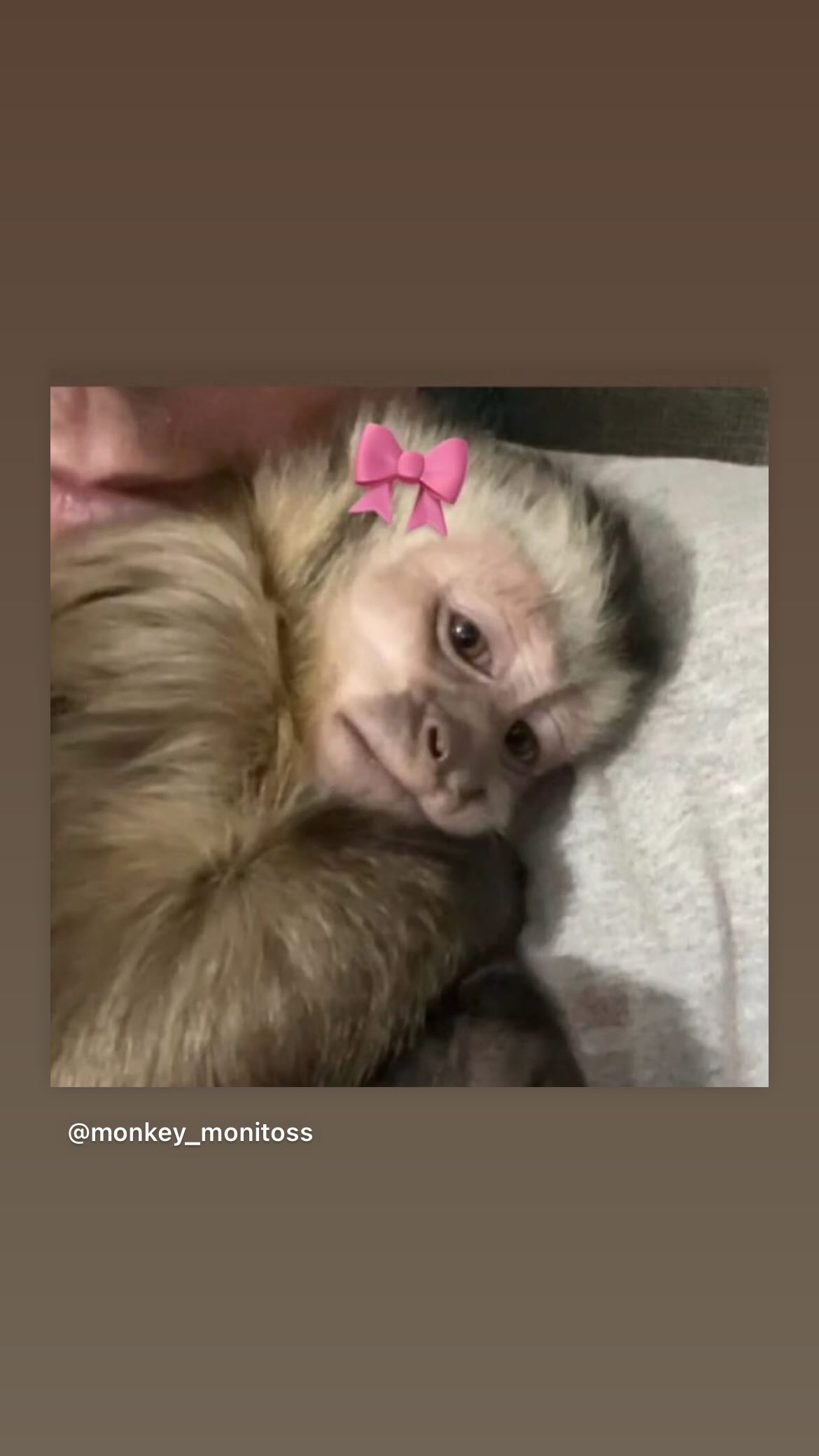 efrat_elmalich instagram image archive image