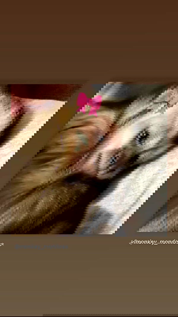 efrat_elmalich image ~ Altpins