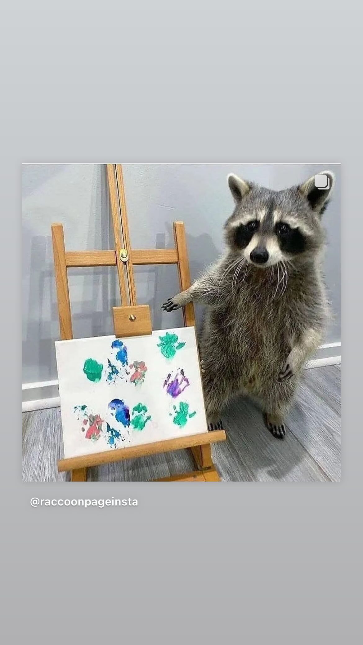 efrat_elmalich instagram image archive image