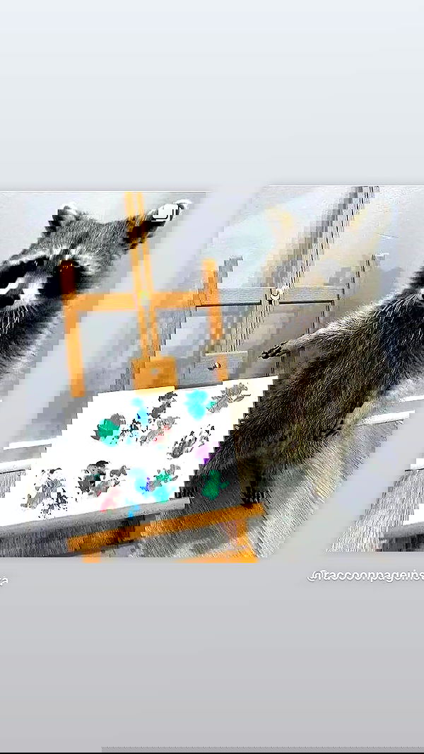 efrat_elmalich image ~ Altpins