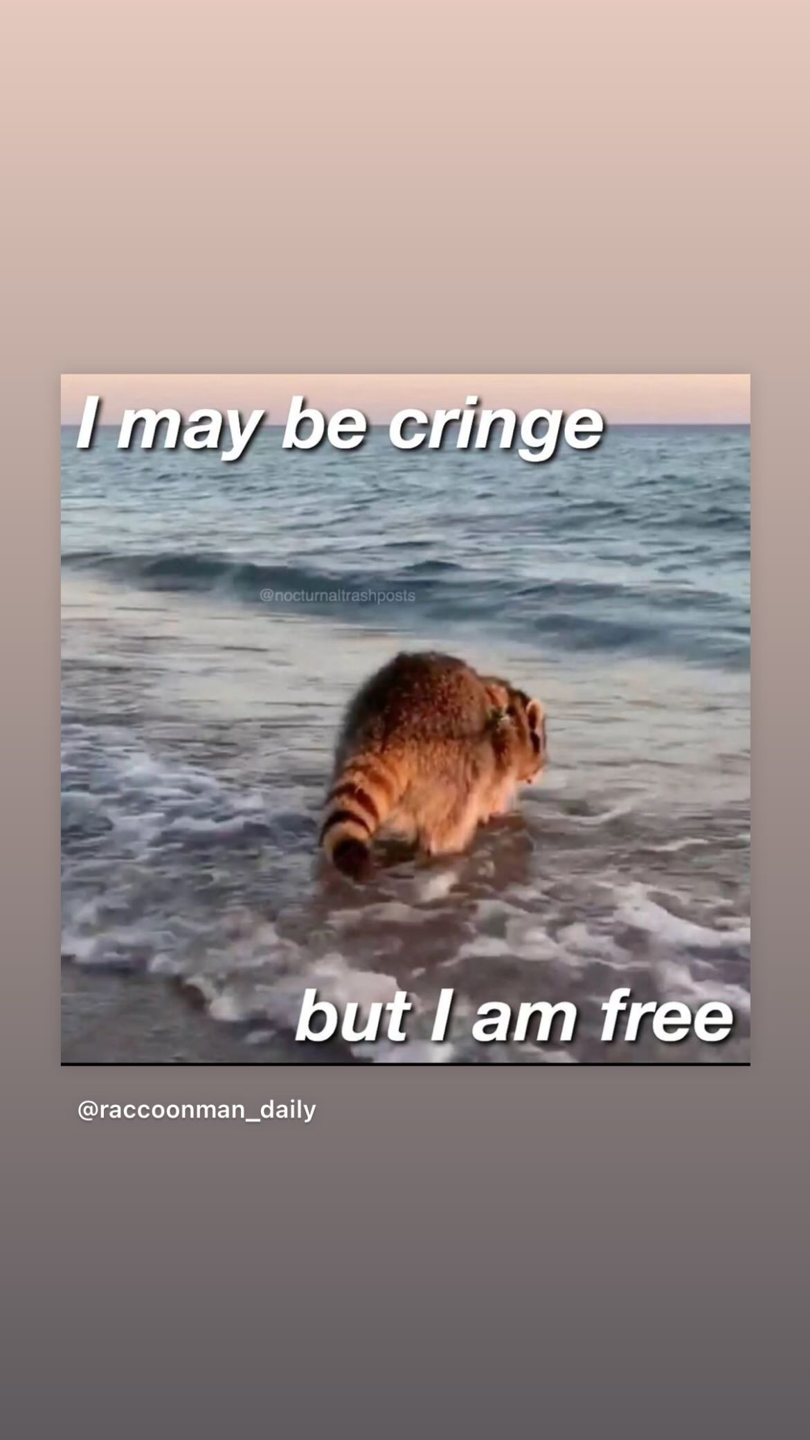 efrat_elmalich instagram image archive image