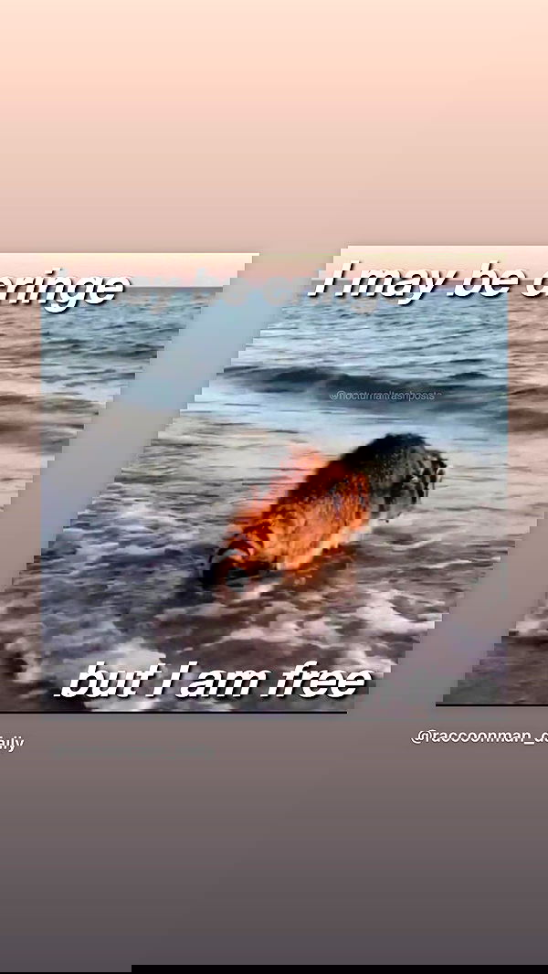 efrat_elmalich image ~ Altpins