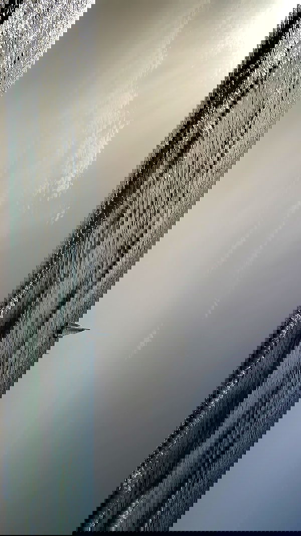 efrat_elmalich image ~ Altpins