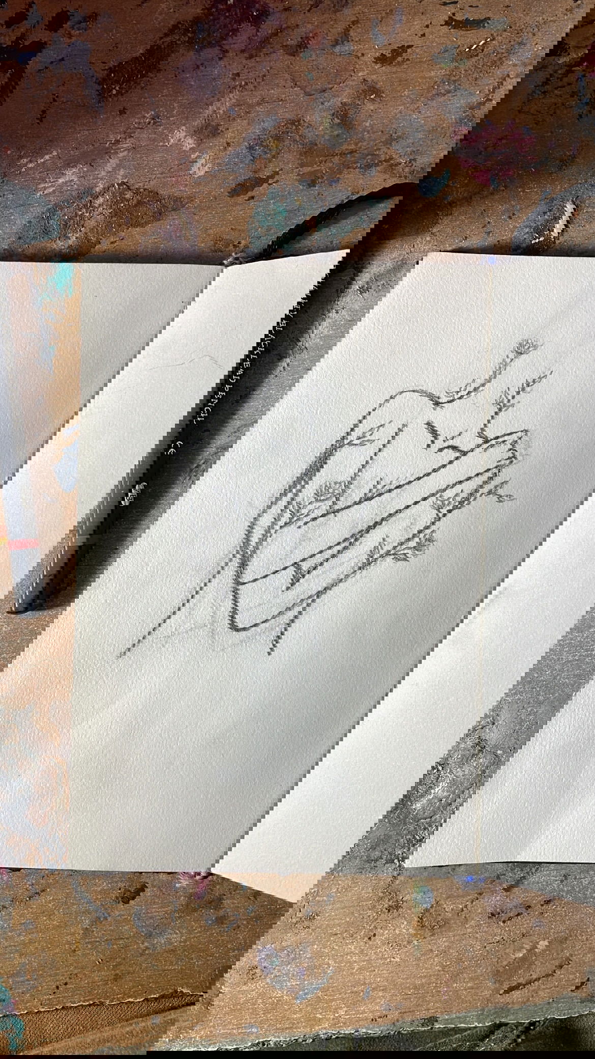 efrat_elmalich instagram image archive image