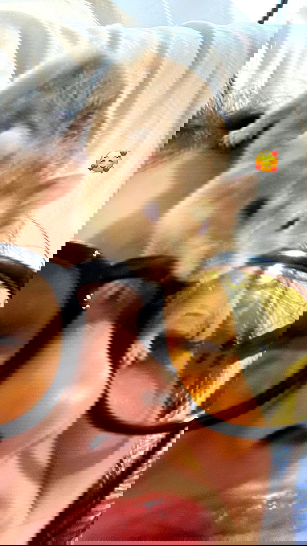 efrat_elmalich image ~ Altpins