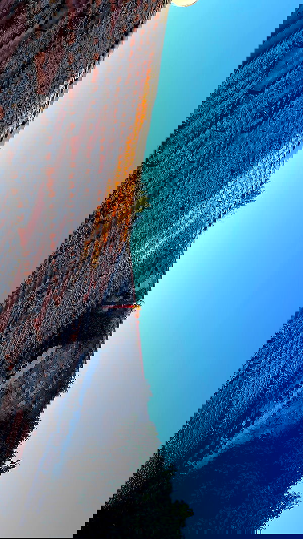 efrat_elmalich image ~ Altpins