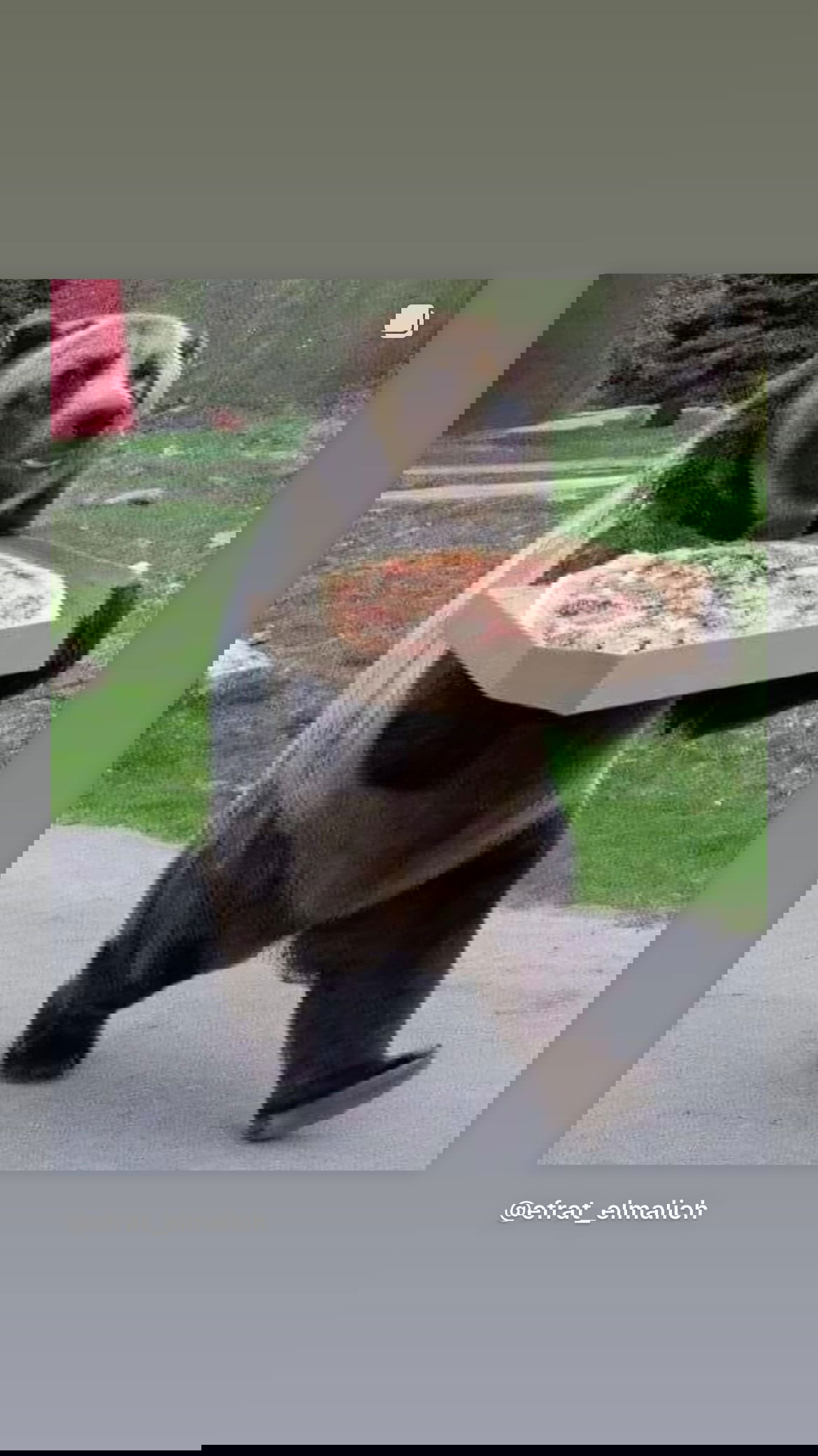 efrat_elmalich instagram image archive image