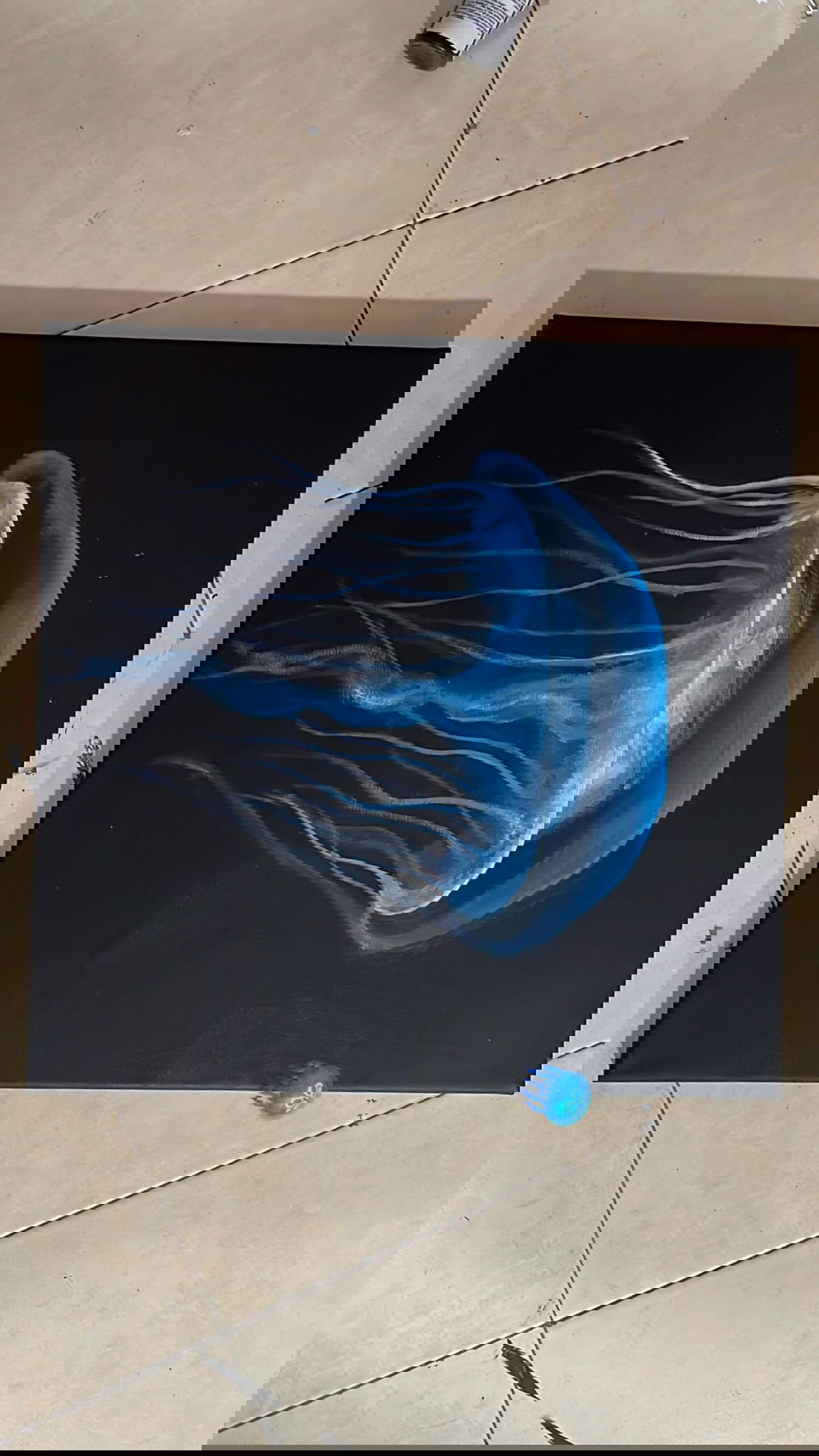 efrat_elmalich instagram image archive image