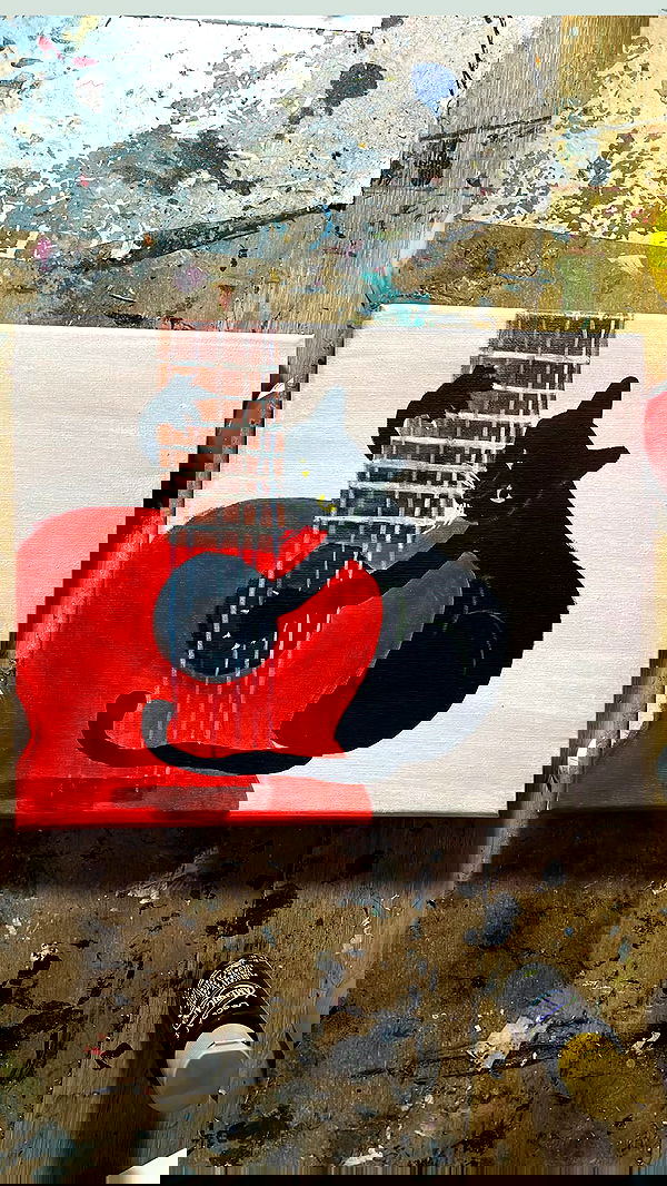 efrat_elmalich image ~ Altpins