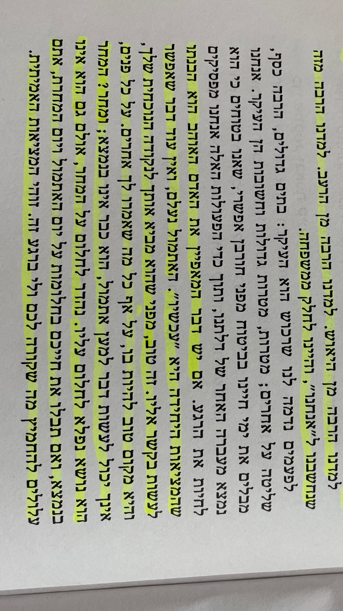 efrat_elmalich instagram image archive image